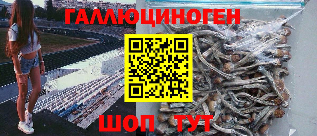 Нижнеудинск  Псилоцибиновые грибы мицелий  Вход с VPN 
