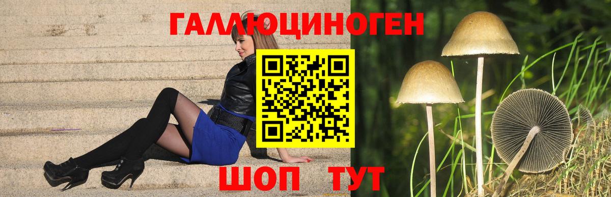 Галлюциногенные грибы Cubensis Нижнеудинск
